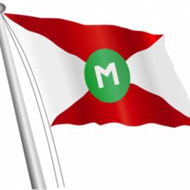 msapplication-TileImage